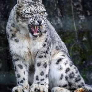 Meet your Posher, Edgar